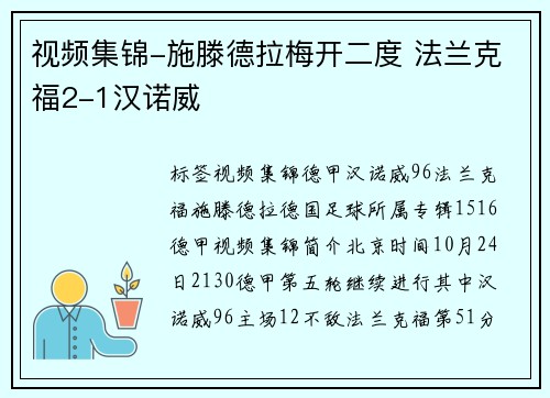 视频集锦-施滕德拉梅开二度 法兰克福2-1汉诺威